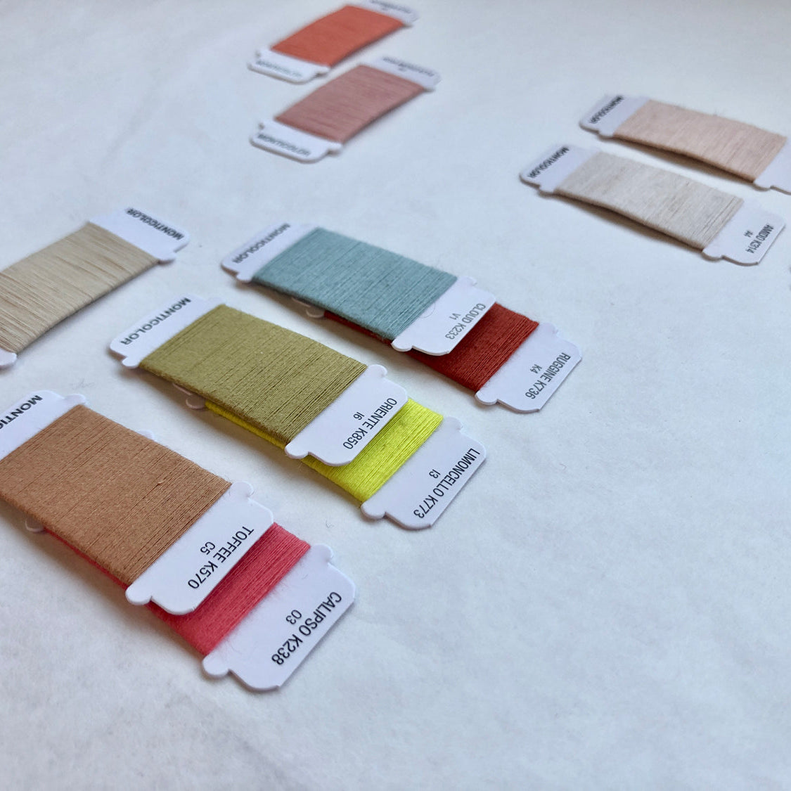 Developing the Wolvis x MSK collection