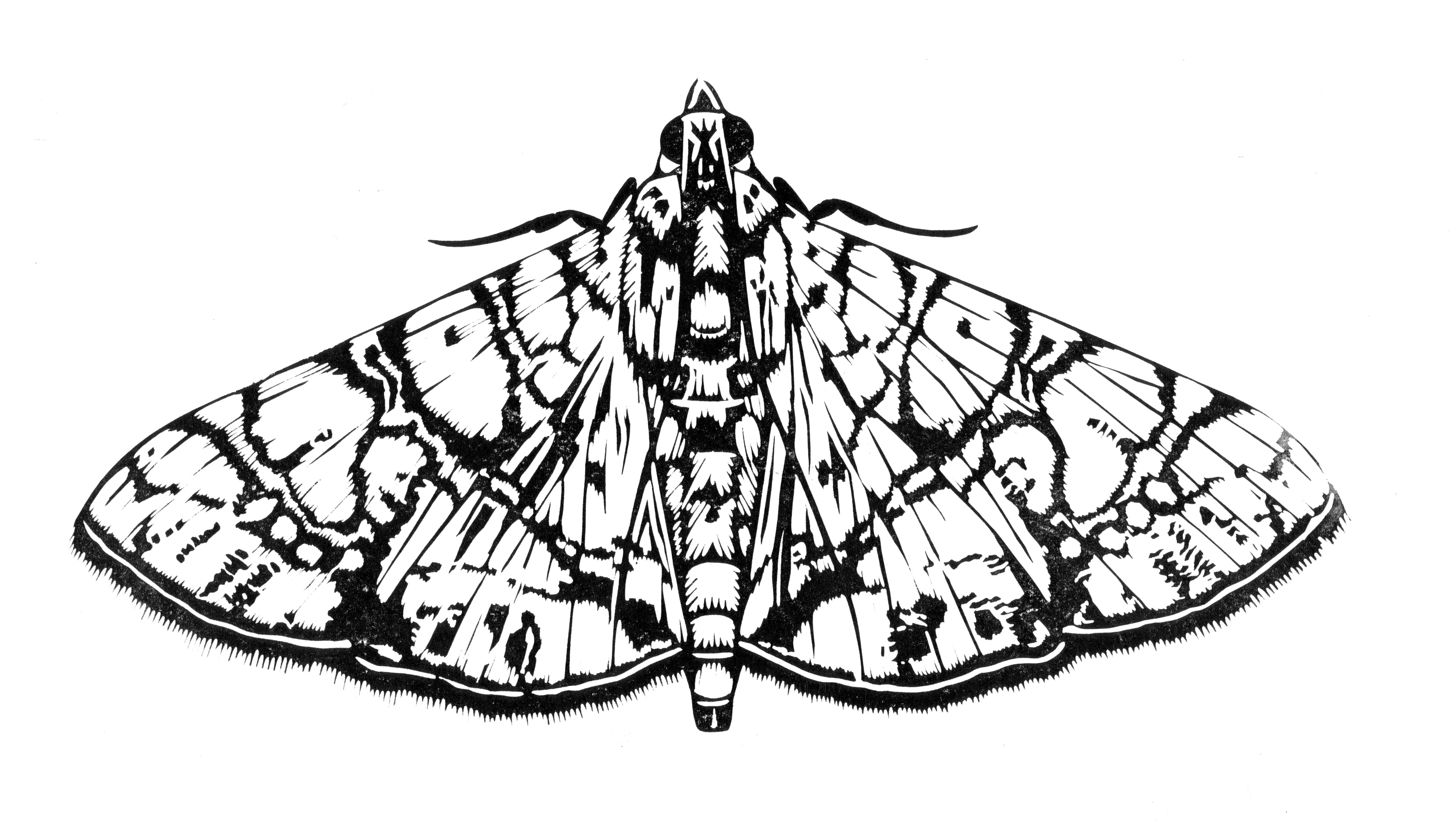 In conversation with Merlijne Marell